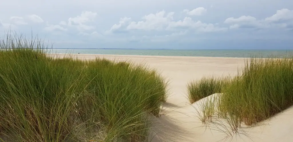 Family beach