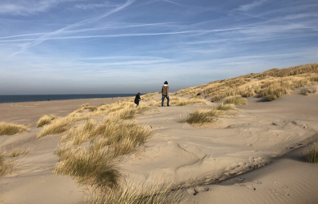 Beach in winter